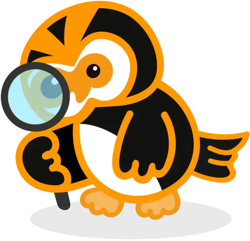 Owl inspecting Northern Ireland vehicle records