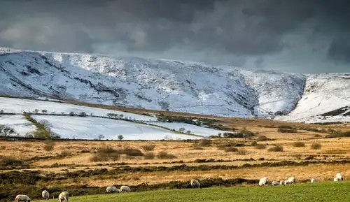 Preseli Hills, Dyfed